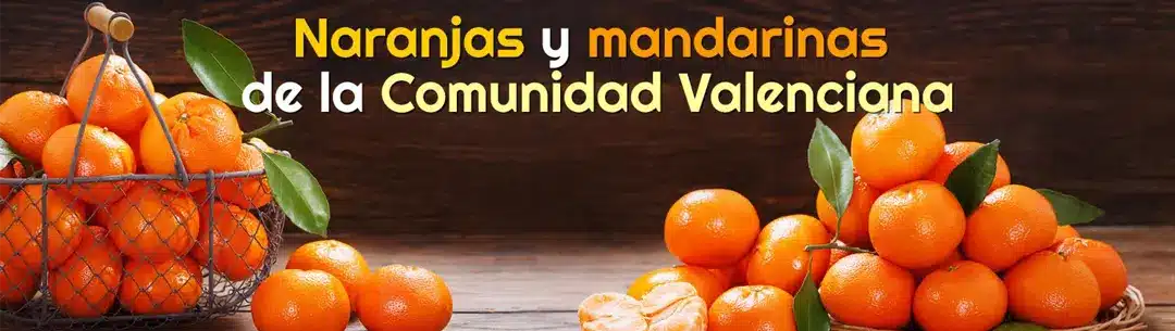 Naranjas Luna. Naranjas de Valencia directas del árbol a tu casa en 24 horas. Calidad al mejor precio.