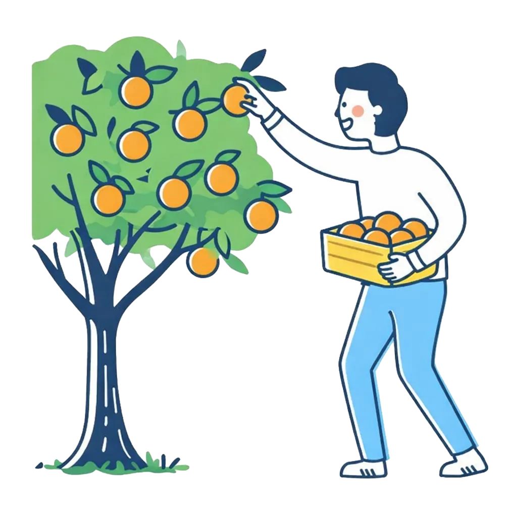 Comprar Naranjas de Valencia al mejor precio